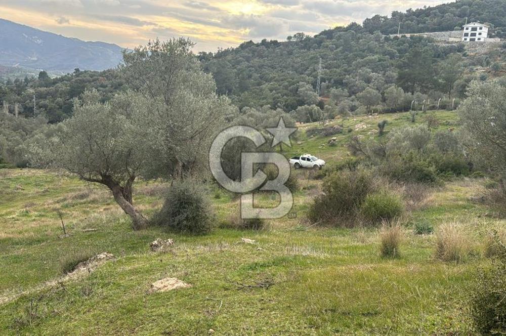 Seferihisar Orhanlı'da İmarlı Arsa Bitişiği Satılık Arazi