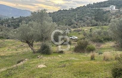 Seferihisar Orhanlı'da İmarlı Arsa Bitişiği Satılık Arazi
