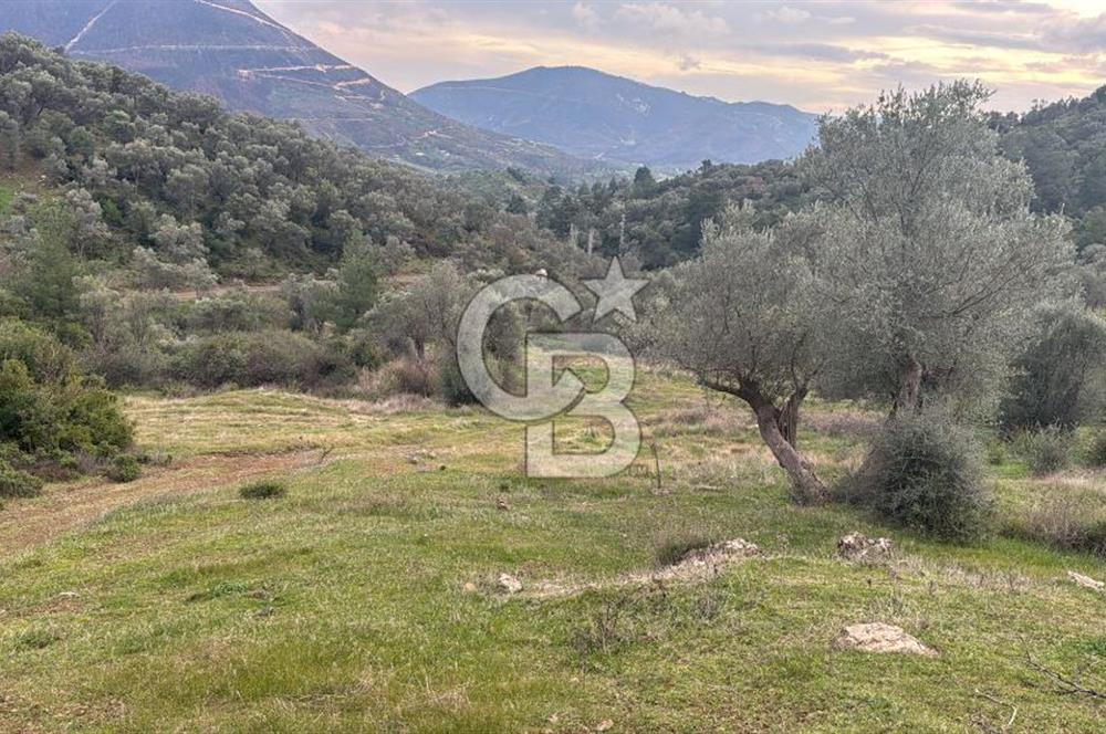 Seferihisar Orhanlı'da İmarlı Arsa Bitişiği Satılık Arazi