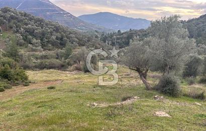 Seferihisar Orhanlı'da İmarlı Arsa Bitişiği Satılık Arazi