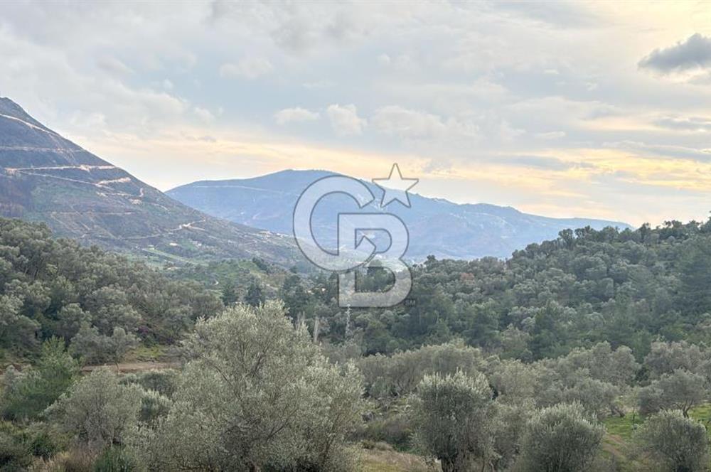 Seferihisar Orhanlı'da İmarlı Arsa Bitişiği Satılık Arazi