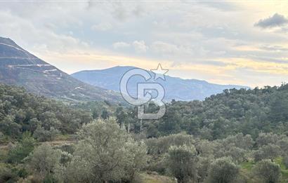 Seferihisar Orhanlı'da İmarlı Arsa Bitişiği Satılık Arazi