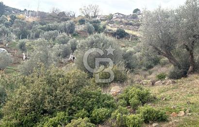 Seferihisar Orhanlı'da İmarlı Arsa Bitişiği Satılık Arazi