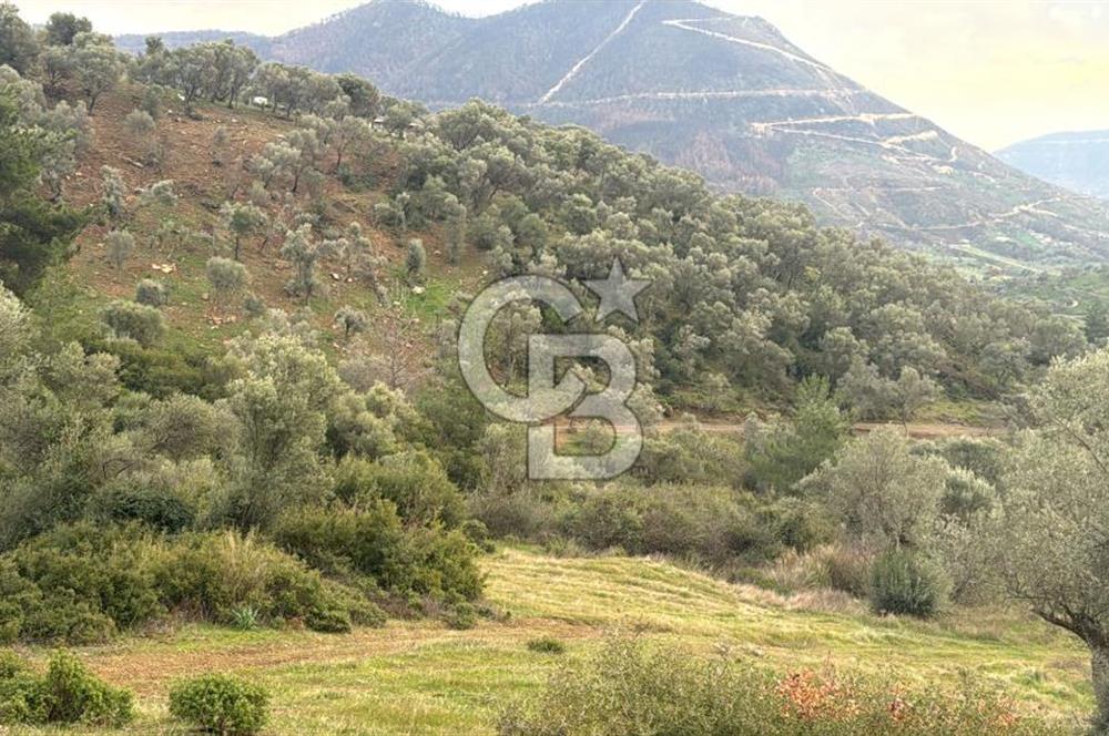 Seferihisar Orhanlı'da İmarlı Arsa Bitişiği Satılık Arazi