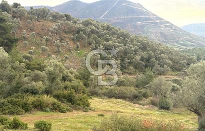 Seferihisar Orhanlı'da İmarlı Arsa Bitişiği Satılık Arazi