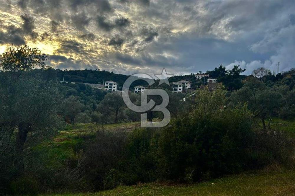 Seferihisar Orhanlı'da İmarlı Arsa Bitişiği Satılık Arazi