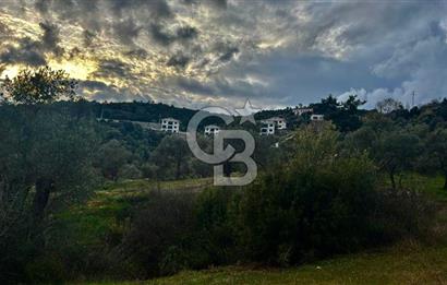 Seferihisar Orhanlı'da İmarlı Arsa Bitişiği Satılık Arazi