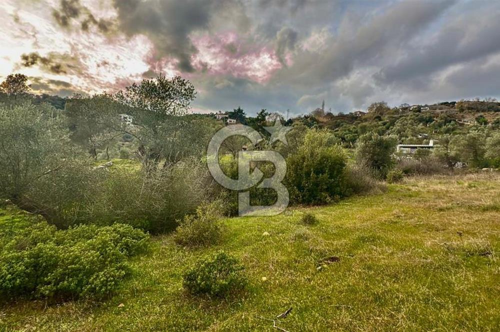 Seferihisar Orhanlı'da İmarlı Arsa Bitişiği Satılık Arazi