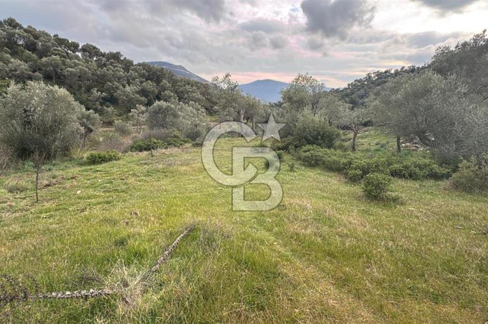 Seferihisar Orhanlı'da İmarlı Arsa Bitişiği Satılık Arazi