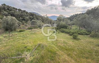 Seferihisar Orhanlı'da İmarlı Arsa Bitişiği Satılık Arazi