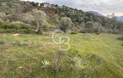 Seferihisar Orhanlı'da İmarlı Arsa Bitişiği Satılık Arazi