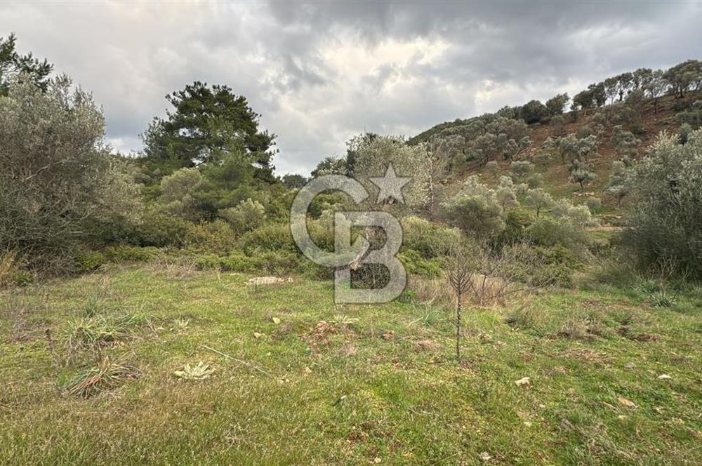 Seferihisar Orhanlı'da İmarlı Arsa Bitişiği Satılık Arazi