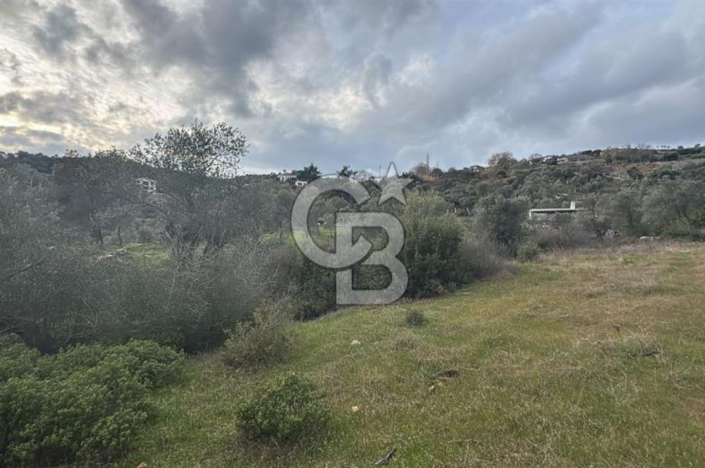 Seferihisar Orhanlı'da İmarlı Arsa Bitişiği Satılık Arazi