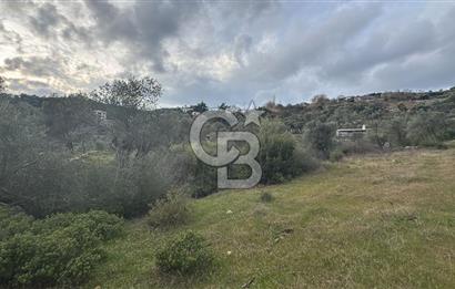 Seferihisar Orhanlı'da İmarlı Arsa Bitişiği Satılık Arazi