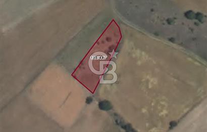 Kütahya Merkez'de Köy İçi Satılık 791 M2 Fırsat Tarla