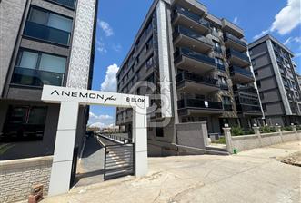 ÇANAKKALE İSMETPAŞA ANEMON 2+1 KAPALI MUTFAK GENİŞ KİRALIK - 1 - 337958