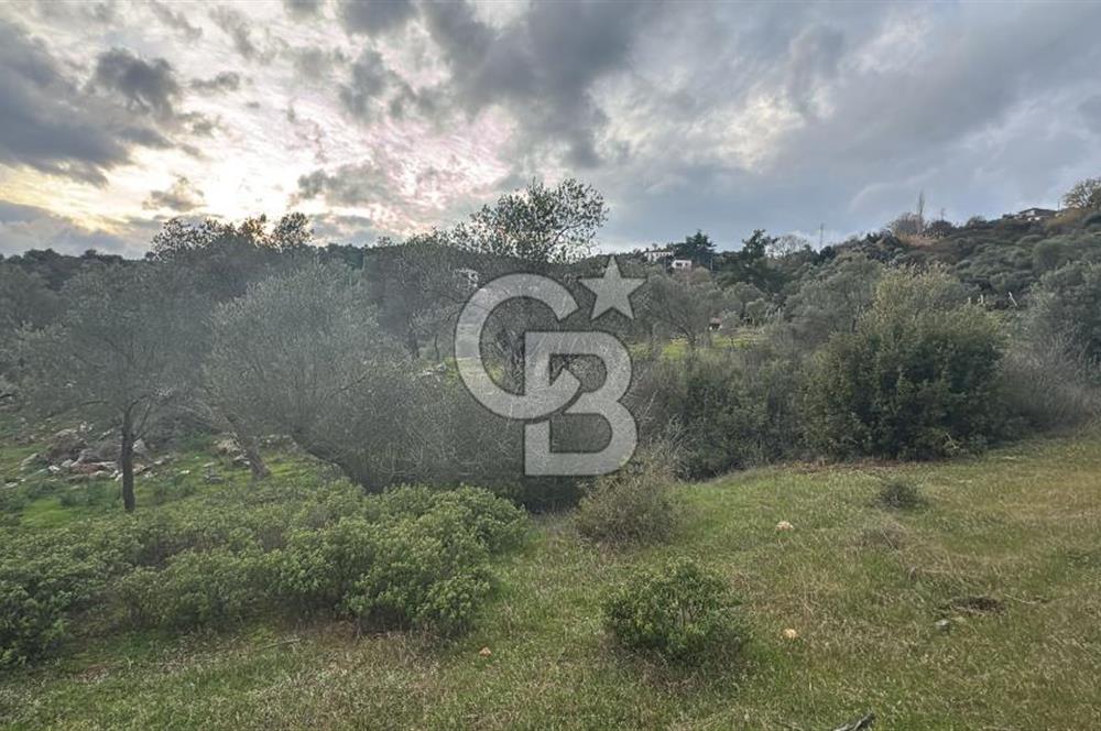 Seferihisar Orhanlı'da İmarlı Arsa Bitişiği Satılık Arazi