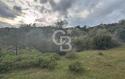 Seferihisar Orhanlı'da İmarlı Arsa Bitişiği Satılık Arazi