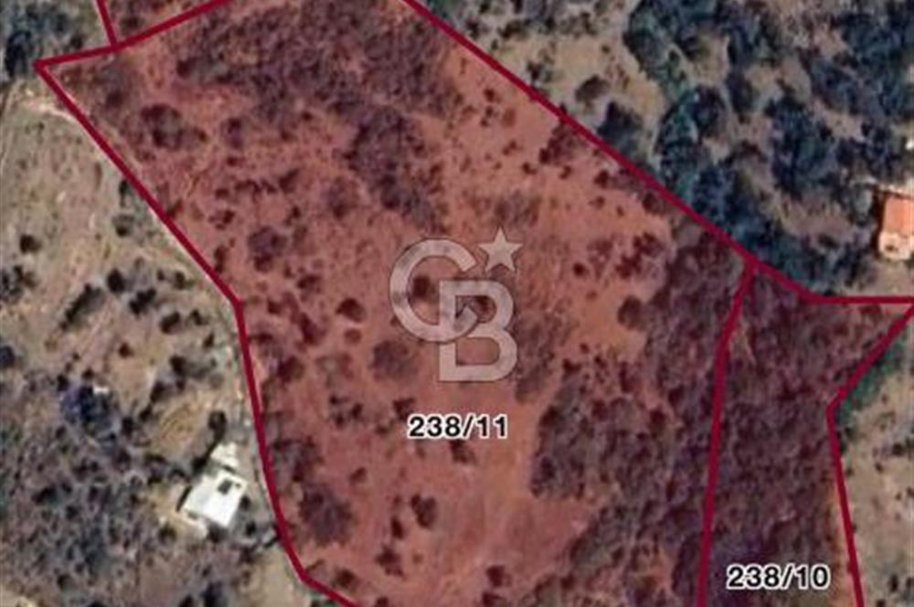 Seferihisar Orhanlı'da İmarlı Arsa Bitişiği Satılık Arazi