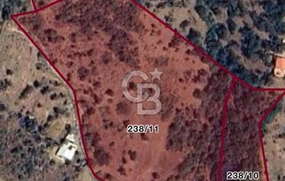 Seferihisar Orhanlı'da İmarlı Arsa Bitişiği Satılık Arazi