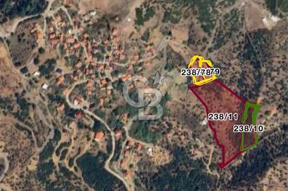 Seferihisar Orhanlı'da İmarlı Arsa Bitişiği Satılık Arazi