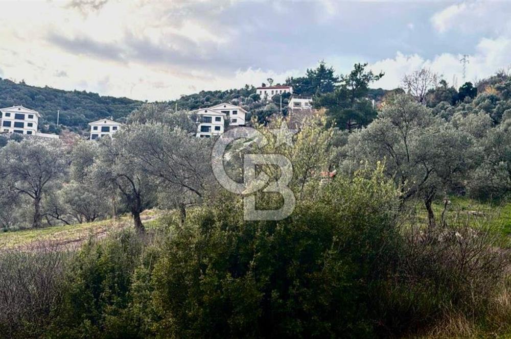 Seferihisar Orhanlı'da İmarlı Arsa Bitişiği Satılık Arazi