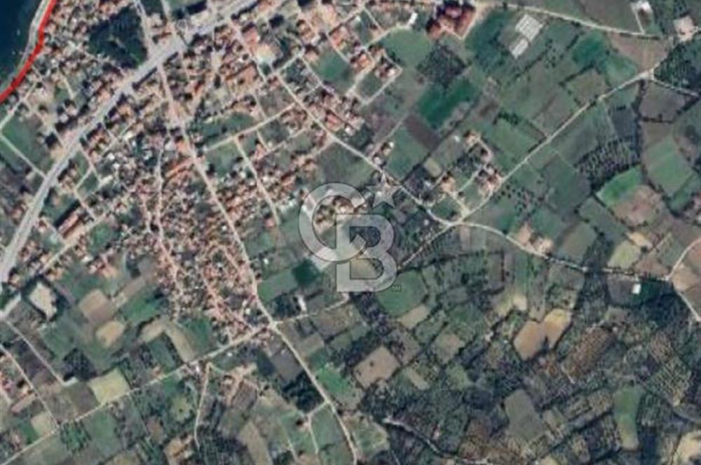 ÇARDAK’TA DENİZ MANZARALI CEVİZ AĞAÇLI SATILIK TARLA