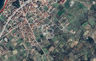 ÇARDAK’TA DENİZ MANZARALI CEVİZ AĞAÇLI SATILIK TARLA