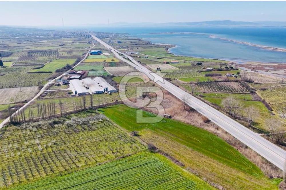  ÇARDAK’TA ANA YOLA CEPHELİ YATIRIMLIK SATILIK TARLALAR