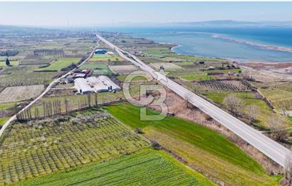  ÇARDAK’TA ANA YOLA CEPHELİ YATIRIMLIK SATILIK TARLALAR