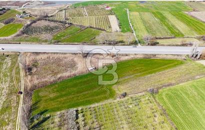  ÇARDAK’TA ANA YOLA CEPHELİ YATIRIMLIK SATILIK TARLALAR