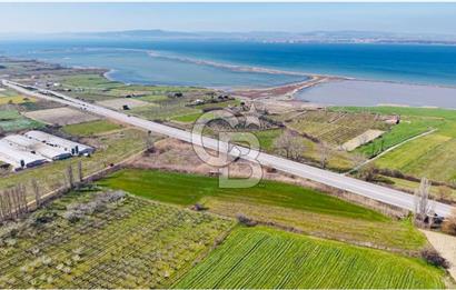  ÇARDAK’TA ANA YOLA CEPHELİ YATIRIMLIK SATILIK TARLALAR