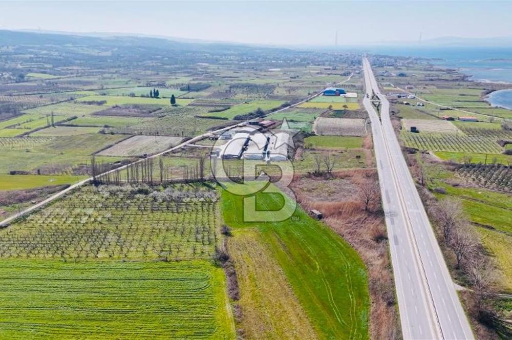  ÇARDAK’TA ANA YOLA CEPHELİ YATIRIMLIK SATILIK TARLALAR