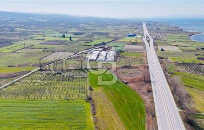  ÇARDAK’TA ANA YOLA CEPHELİ YATIRIMLIK SATILIK TARLALAR