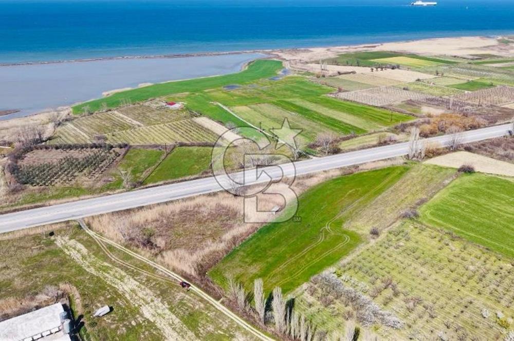  ÇARDAK’TA ANA YOLA CEPHELİ YATIRIMLIK SATILIK TARLALAR