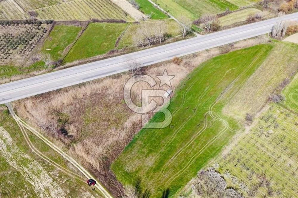  ÇARDAK’TA ANA YOLA CEPHELİ YATIRIMLIK SATILIK TARLALAR