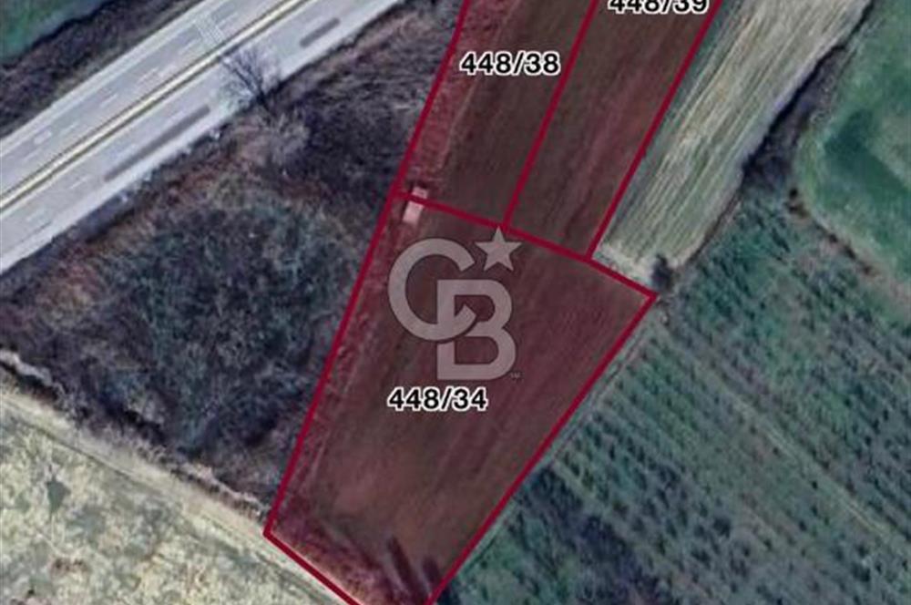  ÇARDAK’TA ANA YOLA CEPHELİ YATIRIMLIK SATILIK TARLALAR