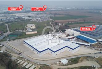 TOYOTA FABRİKASI VE REYSAŞA KOMŞU KİRALIK DEPO - 8 - 338105