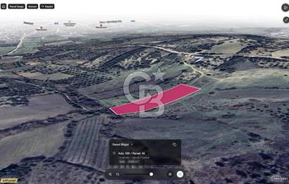 ÇARDAK’TA DENİZ MANZARALI CEVİZ AĞAÇLI SATILIK TARLA