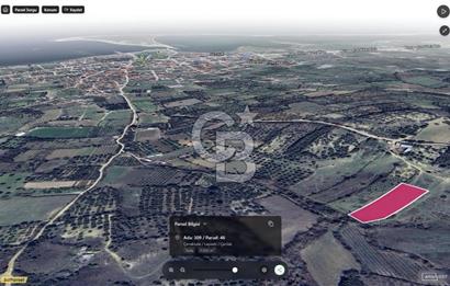 ÇARDAK’TA DENİZ MANZARALI CEVİZ AĞAÇLI SATILIK TARLA