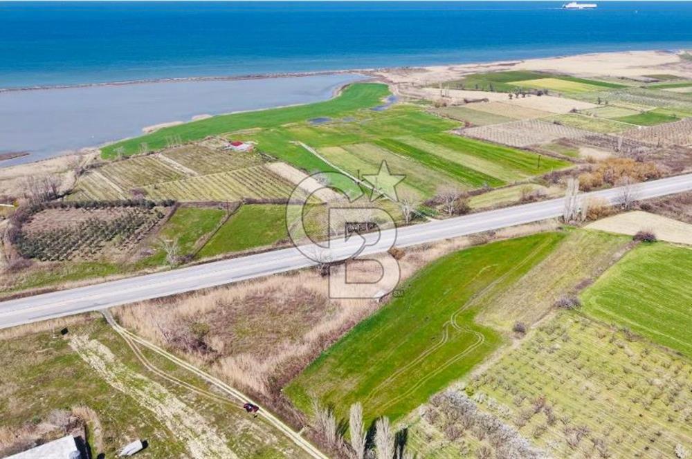  ÇARDAK’TA ANA YOLA CEPHELİ YATIRIMLIK SATILIK TARLALAR