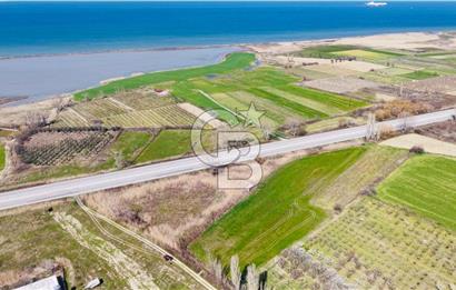  ÇARDAK’TA ANA YOLA CEPHELİ YATIRIMLIK SATILIK TARLALAR