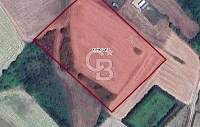 ÇATALCA ÇANAKÇA DA 7857M2 SATILIK TARLA