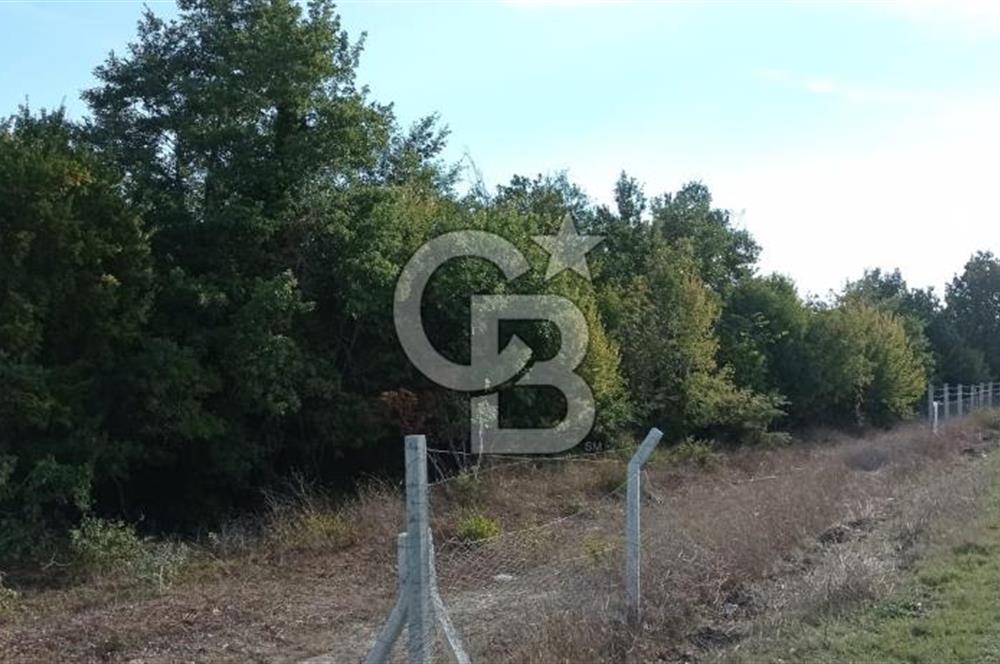 ÇATALCA ÖRENCİKTE SATILIK TARLA