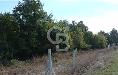 ÇATALCA ÖRENCİKTE SATILIK TARLA