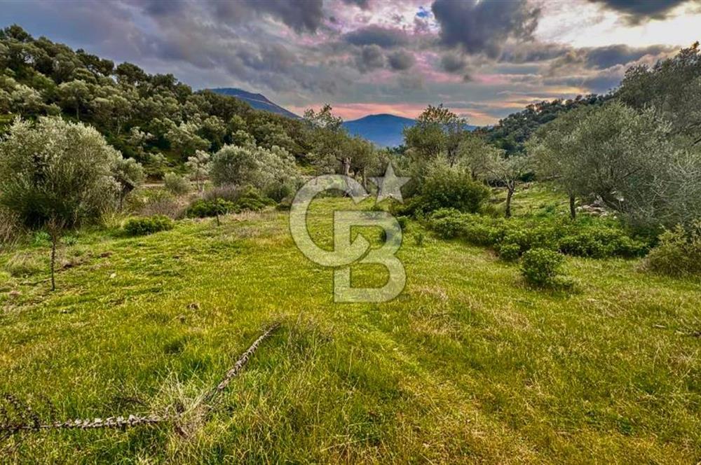 Seferihisar Orhanlı'da Menderes-Ürkmez Yolu üzerinde satılık arazi