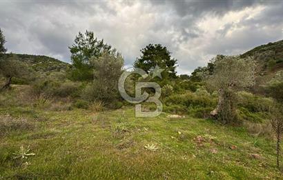 Seferihisar Orhanlı'da Menderes-Ürkmez Yolu üzerinde satılık arazi