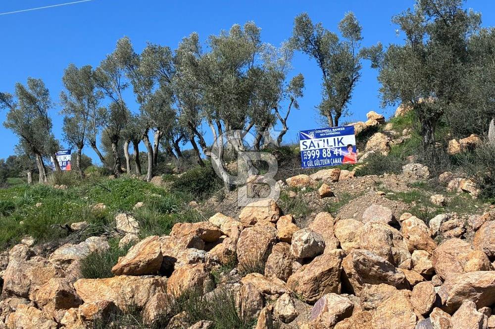 Seferihisar Orhanlı'da Menderes-Ürkmez Yolu üzerinde satılık arazi