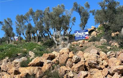 Seferihisar Orhanlı'da Menderes-Ürkmez Yolu üzerinde satılık arazi