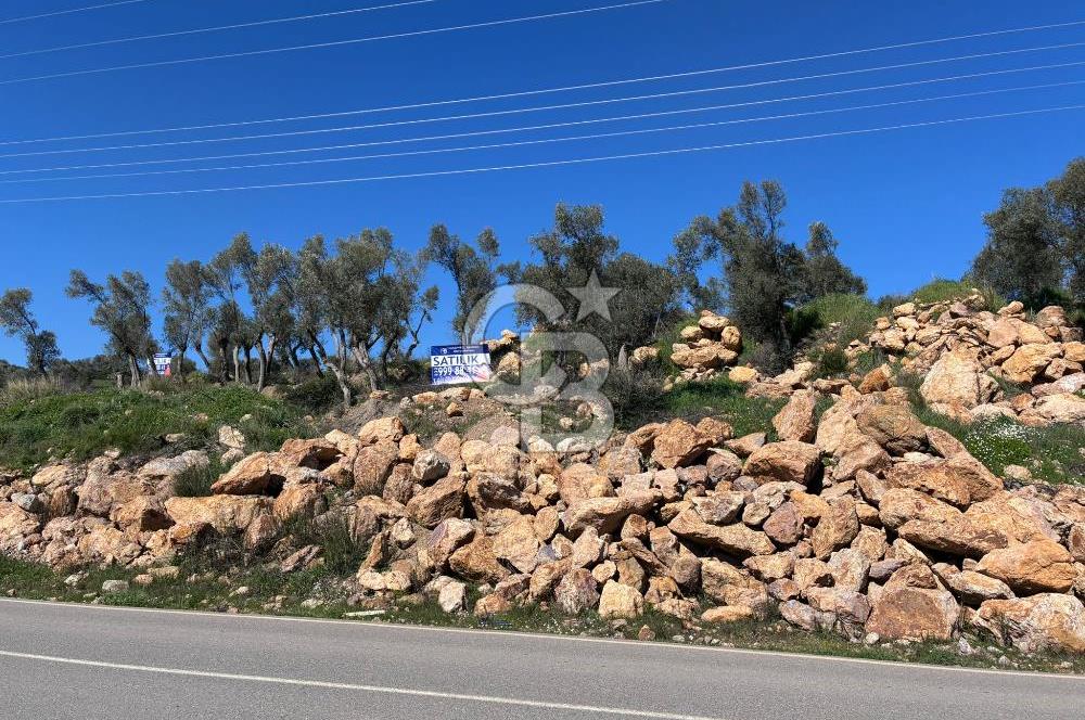 Seferihisar Orhanlı'da Menderes-Ürkmez Yolu üzerinde satılık arazi